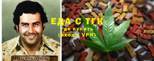 гидра Корсаков