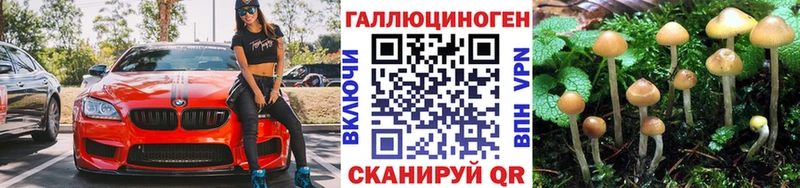 Галлюциногенные грибы Cubensis  Купить закладки  Сосенский 